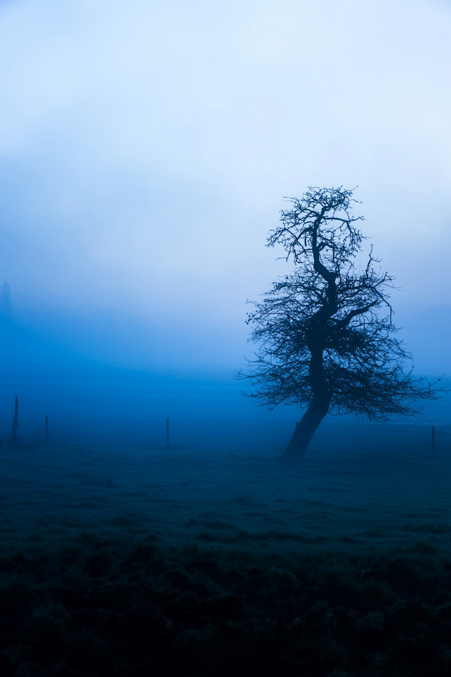 Exploring the Themes of B.N. Thorpe’s Latest Novel