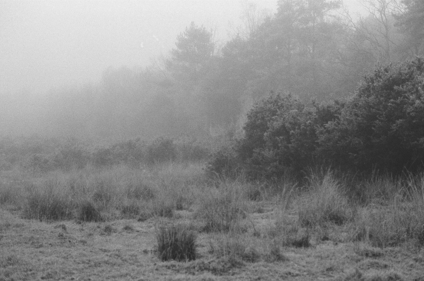 Why Cosmic Horror Captivates Our Imagination